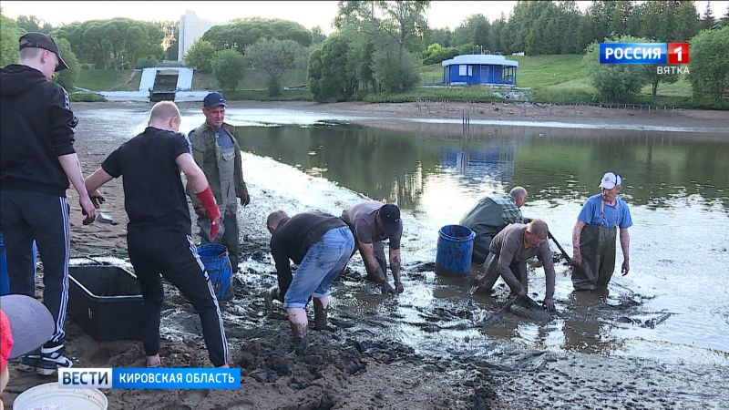 Водных обитателей из пруда у Диорамы переселяют в другие водоемы