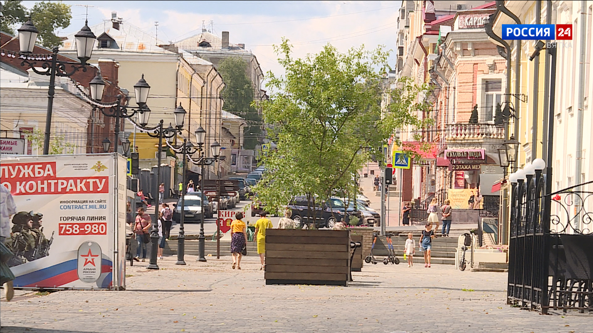 В Кирове уникальные клёны посадили в деревянные контейнеры