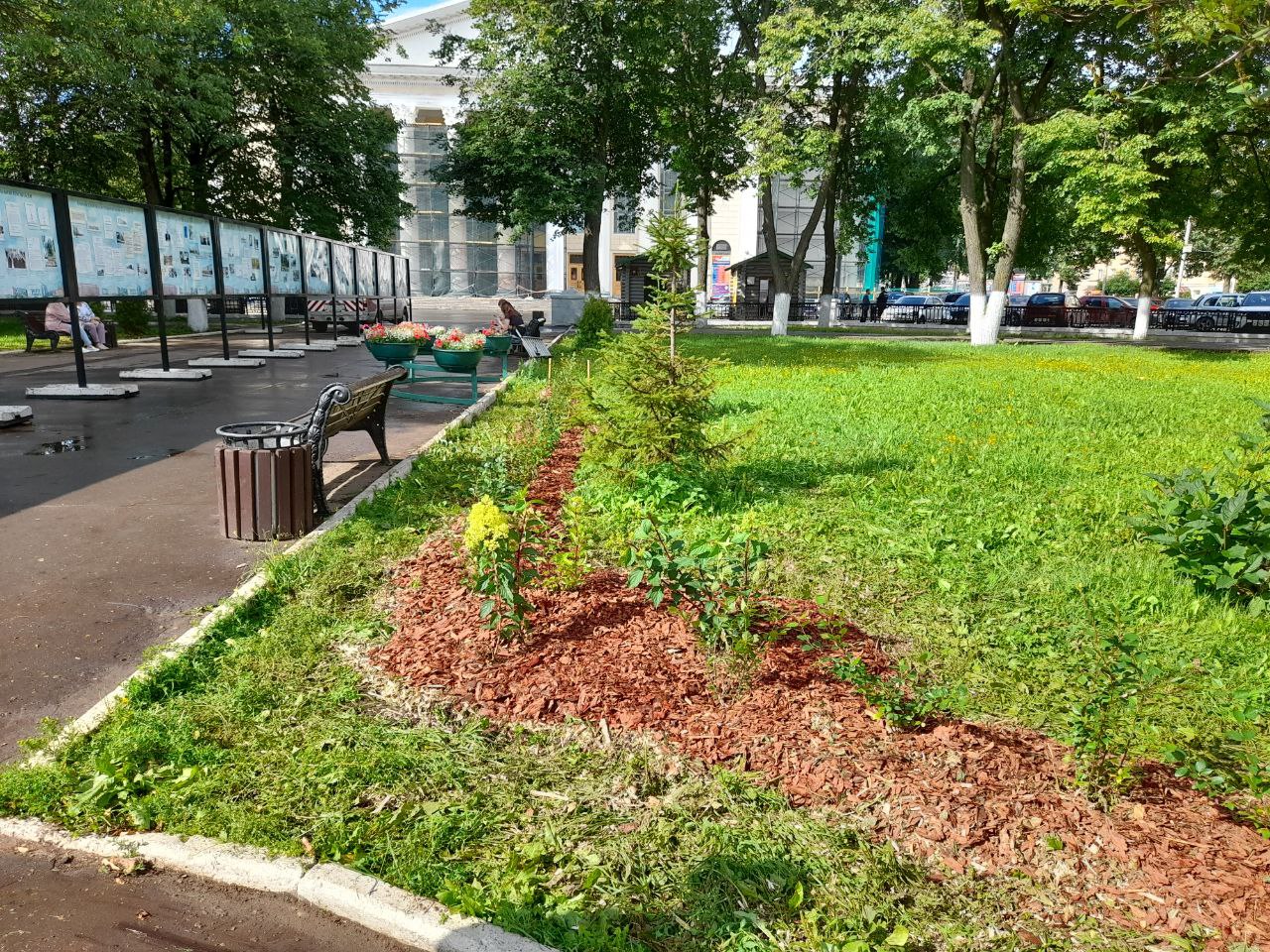 В сквере на Театральной площади высадили живую изгородь