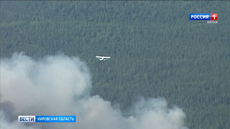 В Кайском лесничестве Кировской области произошёл пожар