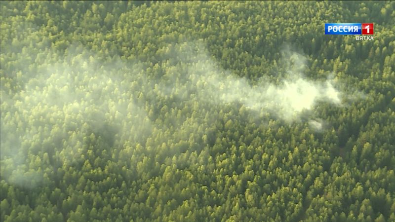 За сутки в Кировской области было зарегистрировано три лесных пожара