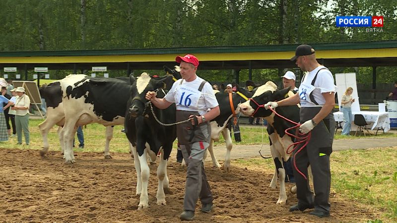 Губерния. АО «Кировплем» (12.07.2023)