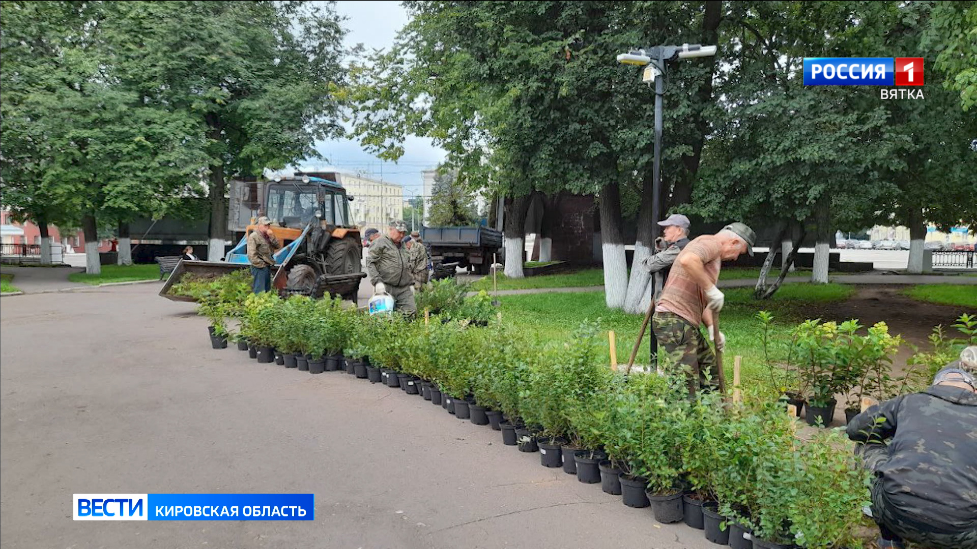 К юбилею Кирова в областном центре появится больше деревьев