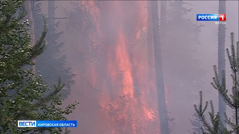 В Кировской области стали в три раза быстрее фиксировать лесные пожары