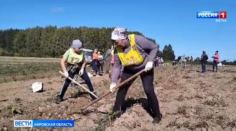 На Фаленской селекционной станции состоялся конкурс по копке картофеля