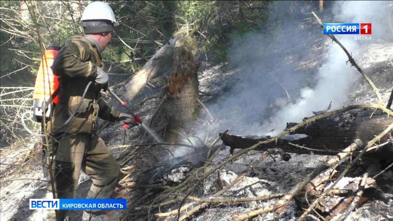 В Немском лесничестве потушили пожар