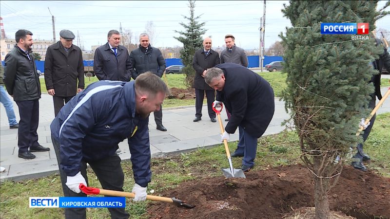 9 голубых елей украсили сквер Трудовой славы в Кирове