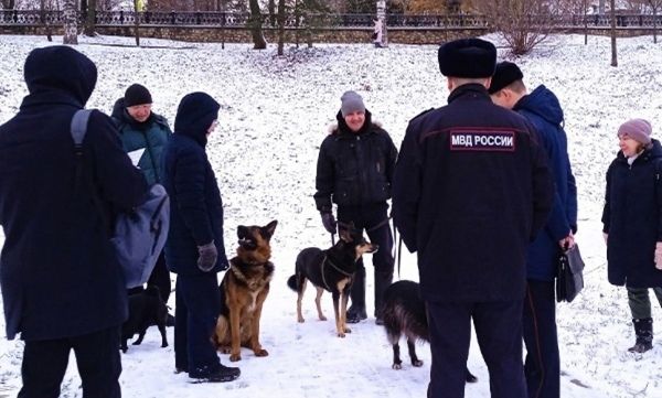 В Кирове проходят рейды по контролю за содержанием домашних животных