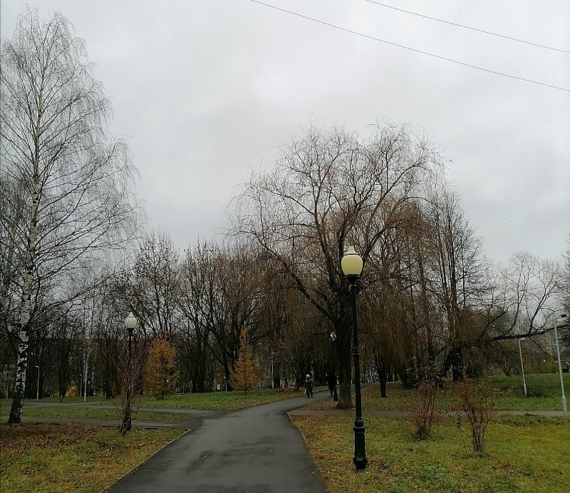 В понедельник в Кировской области ожидается снег с дождем