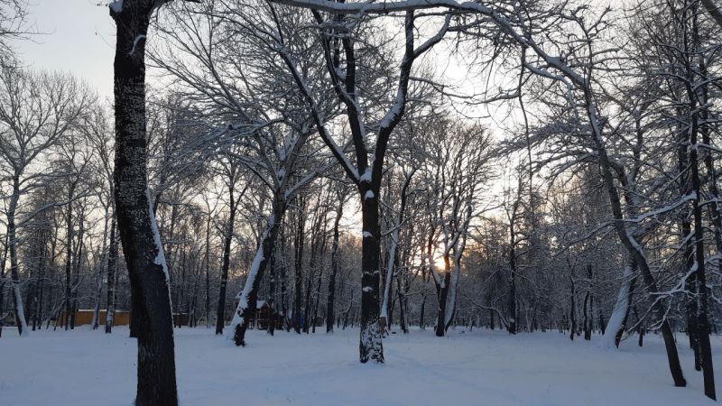 В воскресенье в Кировской области будет морозно и без осадков