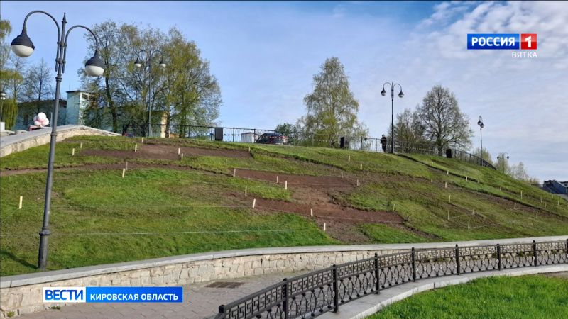 В Кирове разрабатывают проекты цветников к 650-летию города