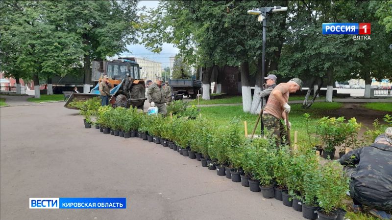 В дирекции благоустройства Кирова изучат опыт Перми по озеленению города