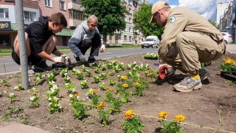 В Кирове разработали единый дизайн для цветников