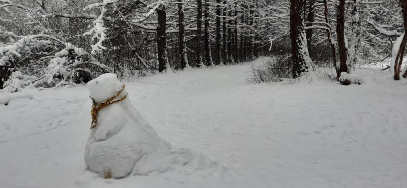 В субботу в Кировской области прогнозируют небольшой снег и до -21 °C