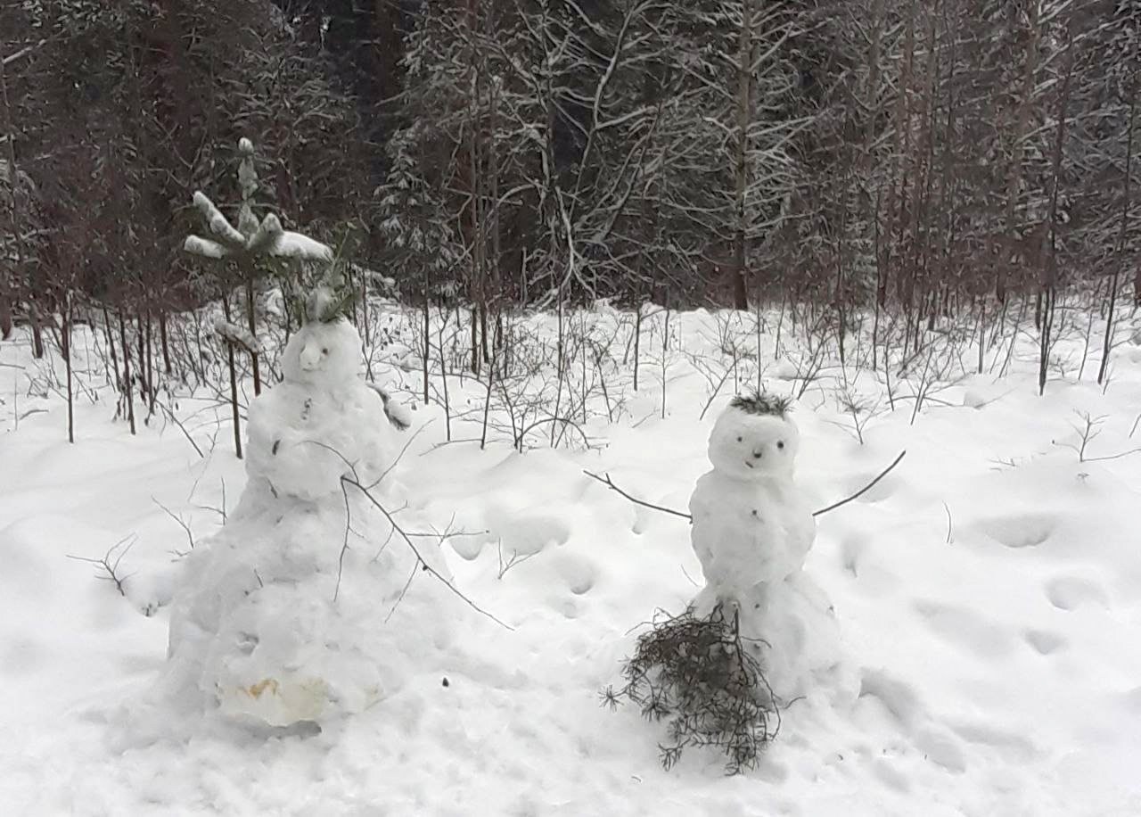 В пятницу в Кирове обещают до -24 °C