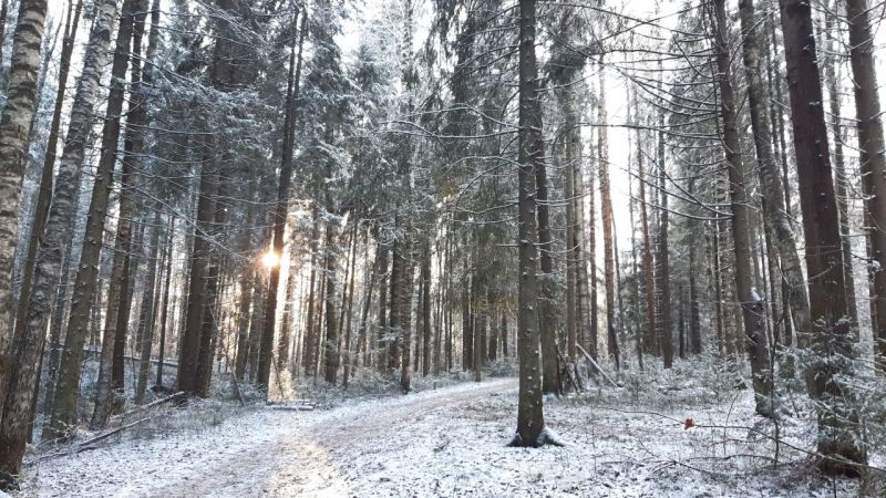 В среду в Кировской области столбики термометров могут  упасть до -38 °C