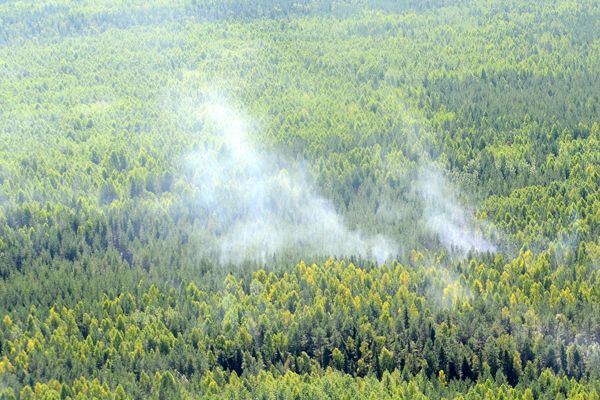 В Кировской области утвердили сводный план для тушения лесных пожаров