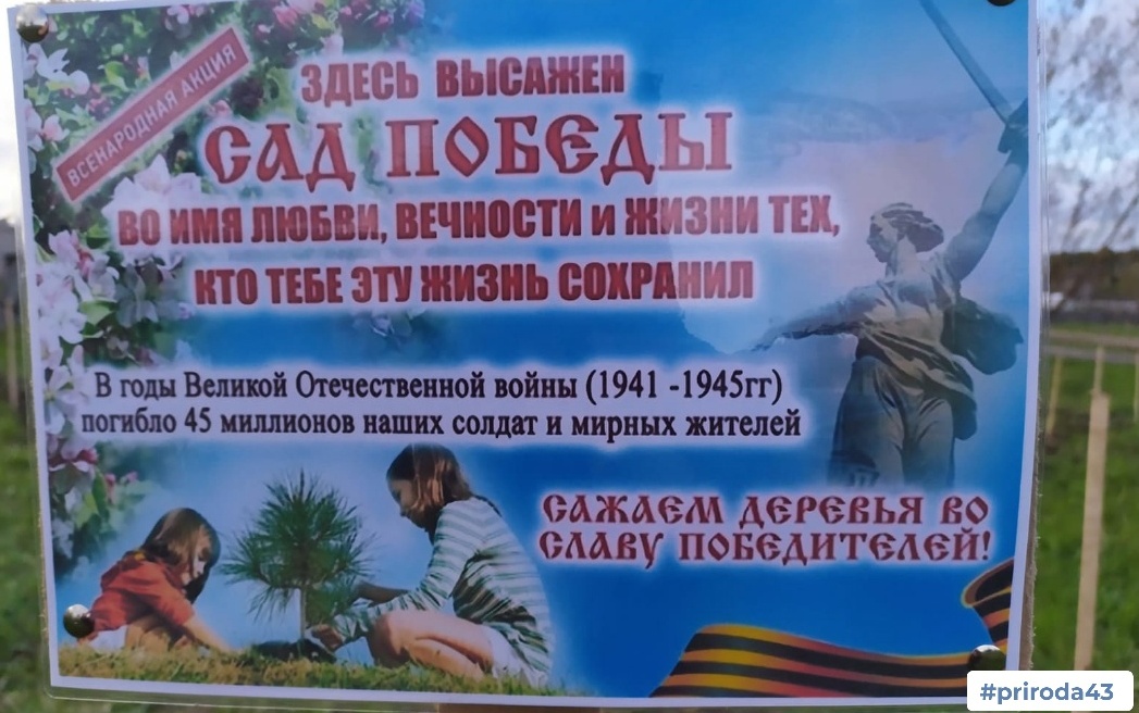 Кировчан приглашают к участию в эколого-патриотической акции «Во имя люби, вечности и жизни»