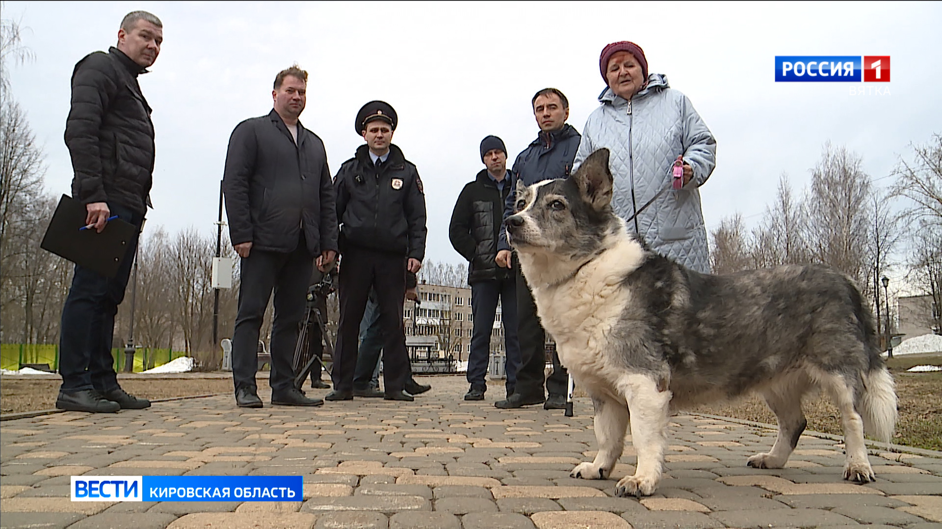 Владелец собаки, который не прибирает место выгула, может получить штраф »  ГТРК Вятка - новости Кирова и Кировской области