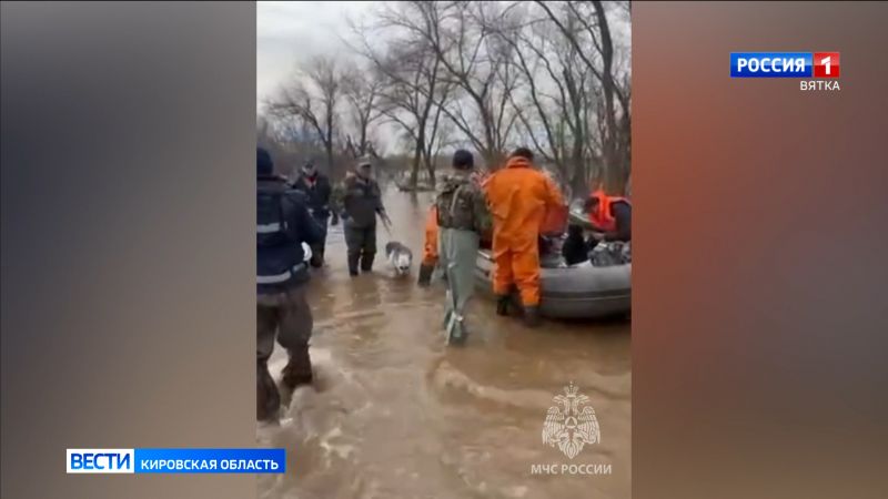 Кировские спасатели эвакуировали 8 человек, двух собак и кота из зоны затопления в Оренбургской области