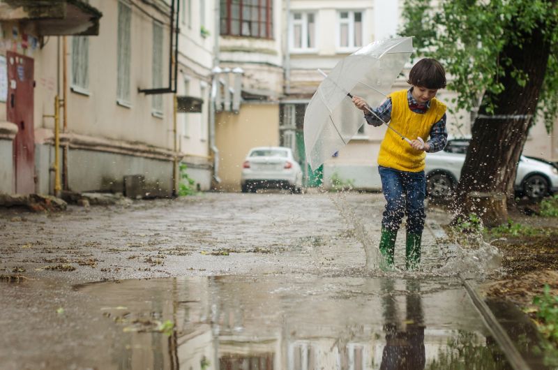 В Кировской области в пятницу обещают дожди