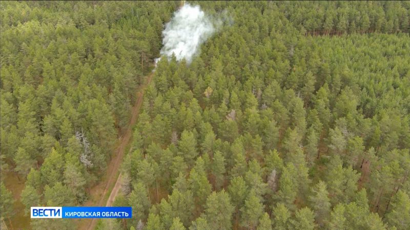 В лесах Кировской области начался пожароопасный период