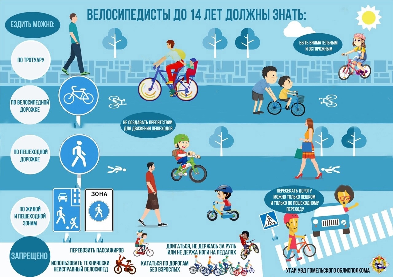 Для юных велосипедистов Кирова организуют бесплатные занятия по правилам дорожного движения