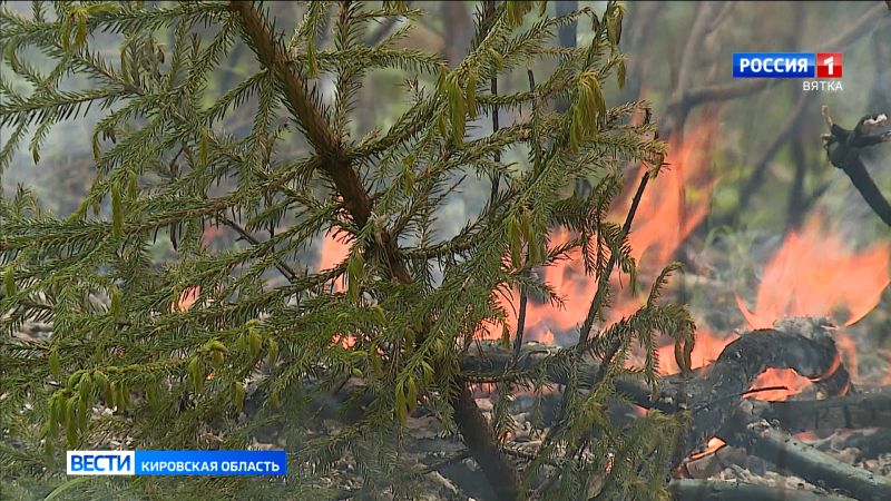 На территории Вятскополянского района прогнозируют высокую пожарную опасность