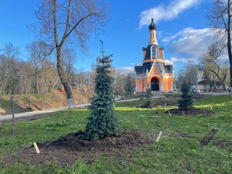 В Кирове на улице Казанской высаживают деревья и кустарники