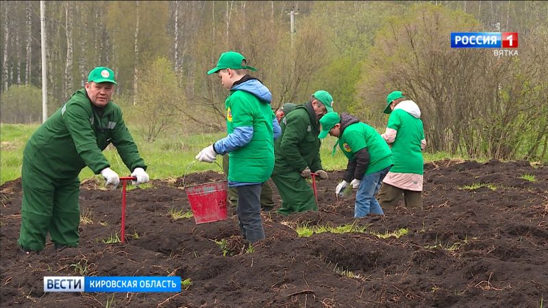 Кировчан приглашают к участию в акции «Сад памяти»