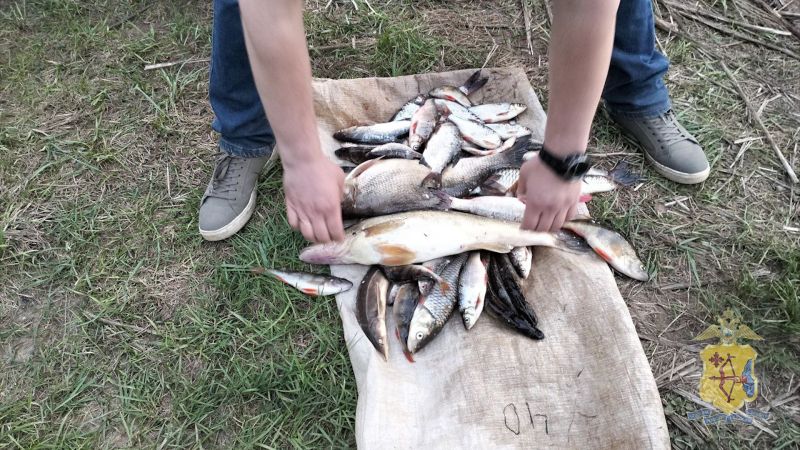 В Кировской области обнаружили браконьеров