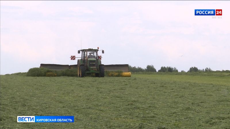 В Кировской области началась «зеленая жатва»