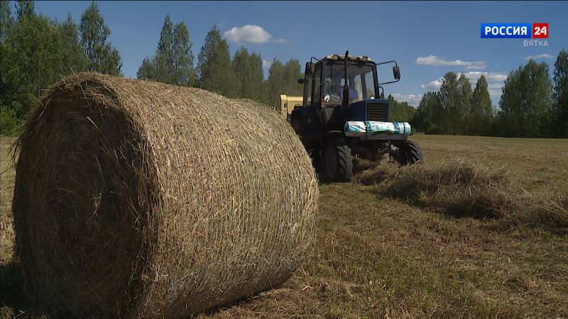 В Кировской области полным ходом идут кормозаготовительные работы