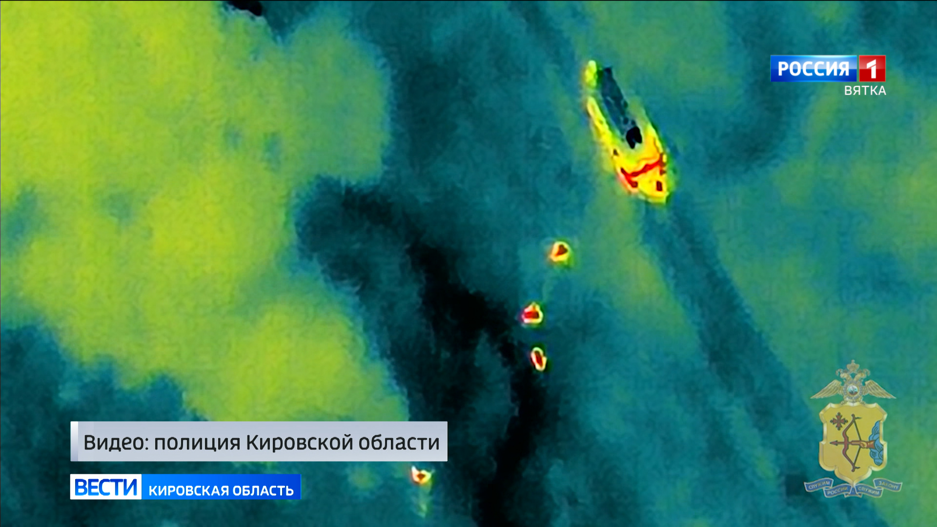 Заблудившуюся в лесу жительницу Кировской области спасли от медведя