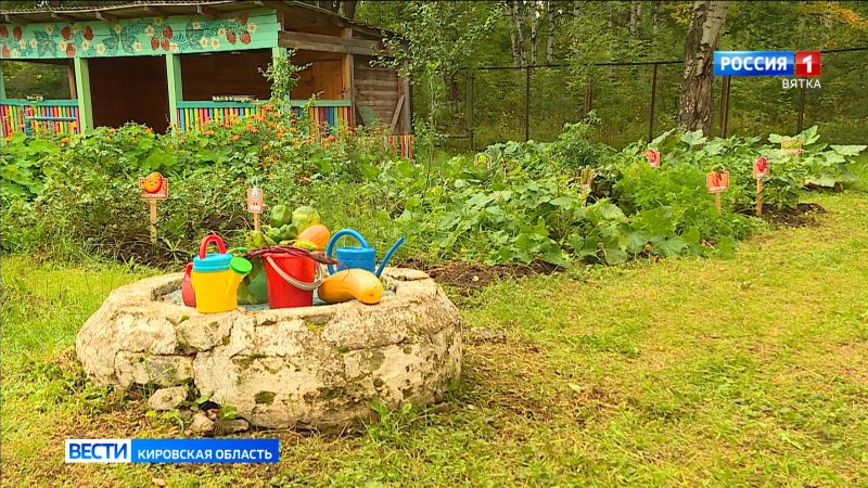 В детском саду «Сказка» в Зуевке дошколята ухаживают за огородом