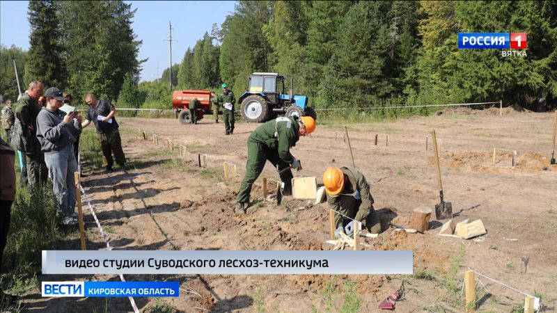 В Суводском лесничестве прошёл конкурс профмастерства работников лесного хозяйства