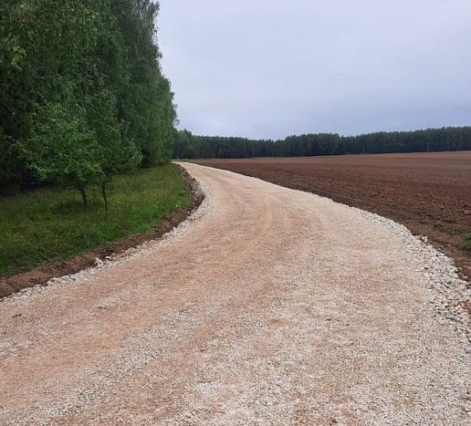 Дорогу до деревни Ятманово в Пижанском районе привели в порядок