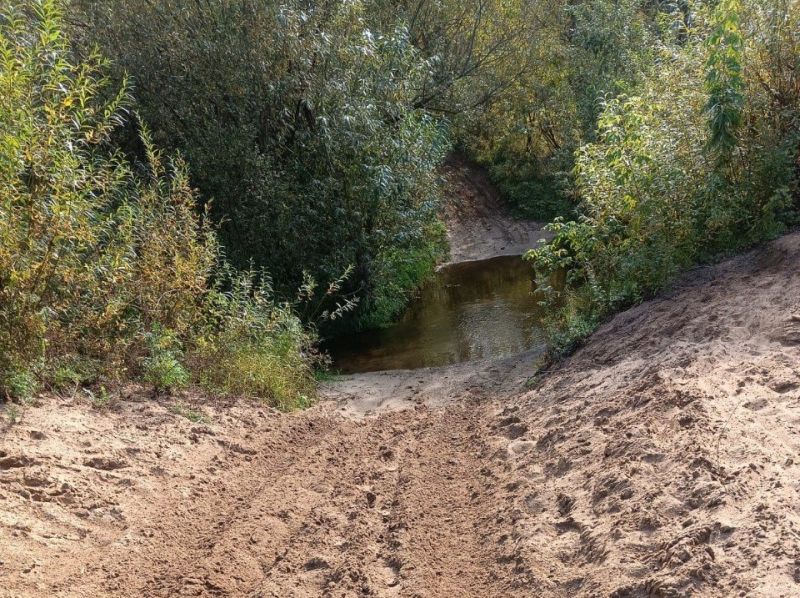 В Кирове проведут проверки в Заречном парке