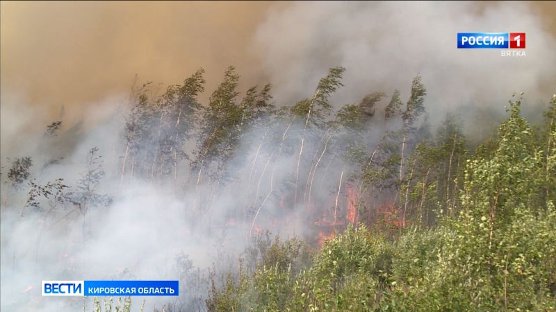 В лесах Кировской области ожидается высокая пожарная опасность