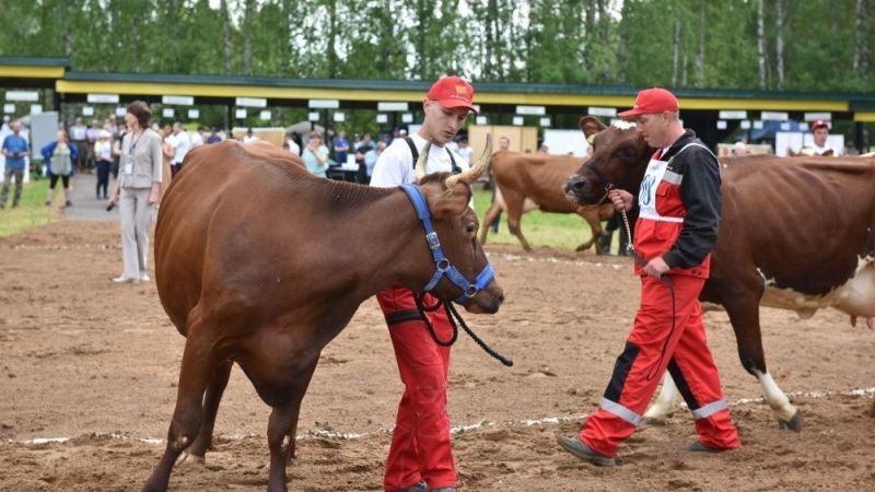 В Кировской области выберут лучших в сельском хозяйстве