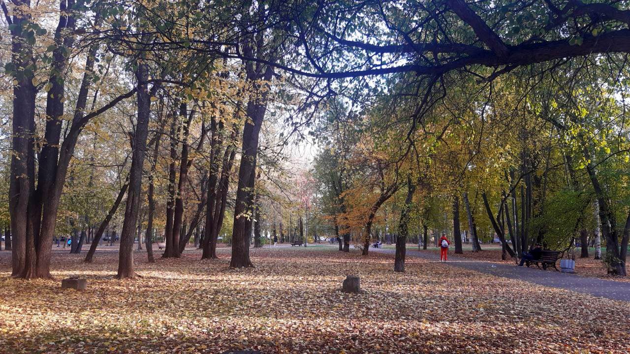 В субботу в Кировскую область начнет возвращаться тепло