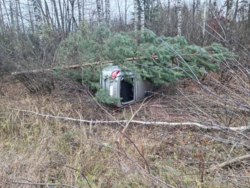 В Яранском районе 20-летний водитель въехал в дерево