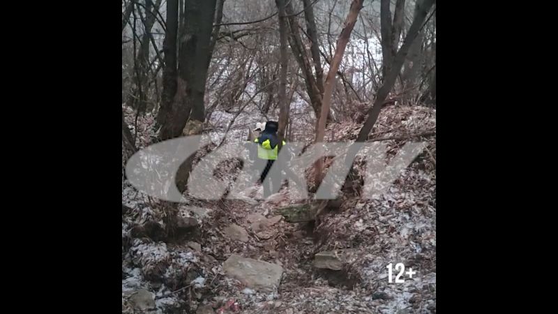 В Кирово-Чепецке ищут девочку, провалившуюся под лёд