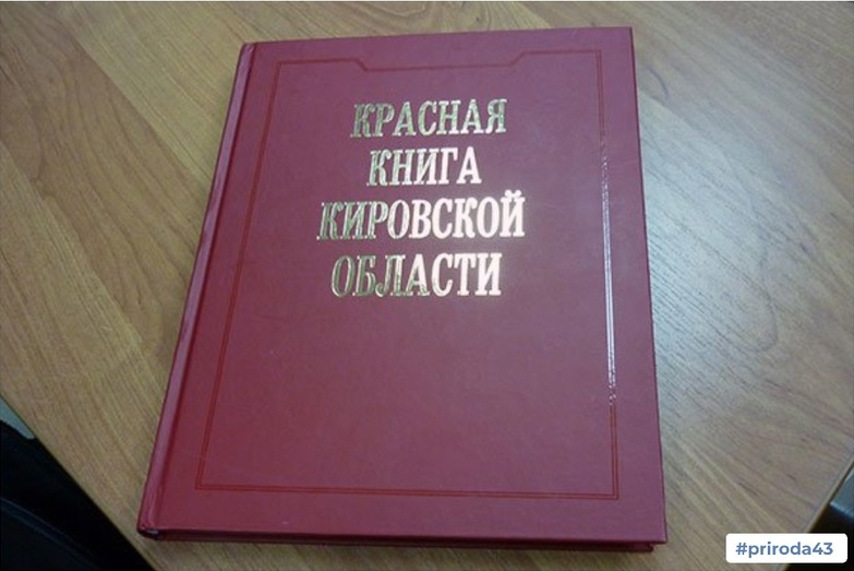 В Кировской области актуализировали Красную книгу региона