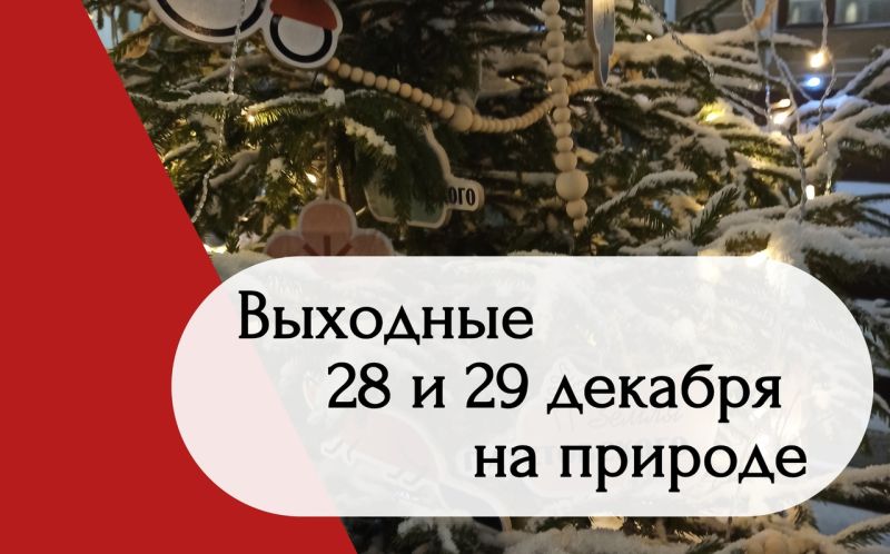 Выходные перед новым годом - на природе