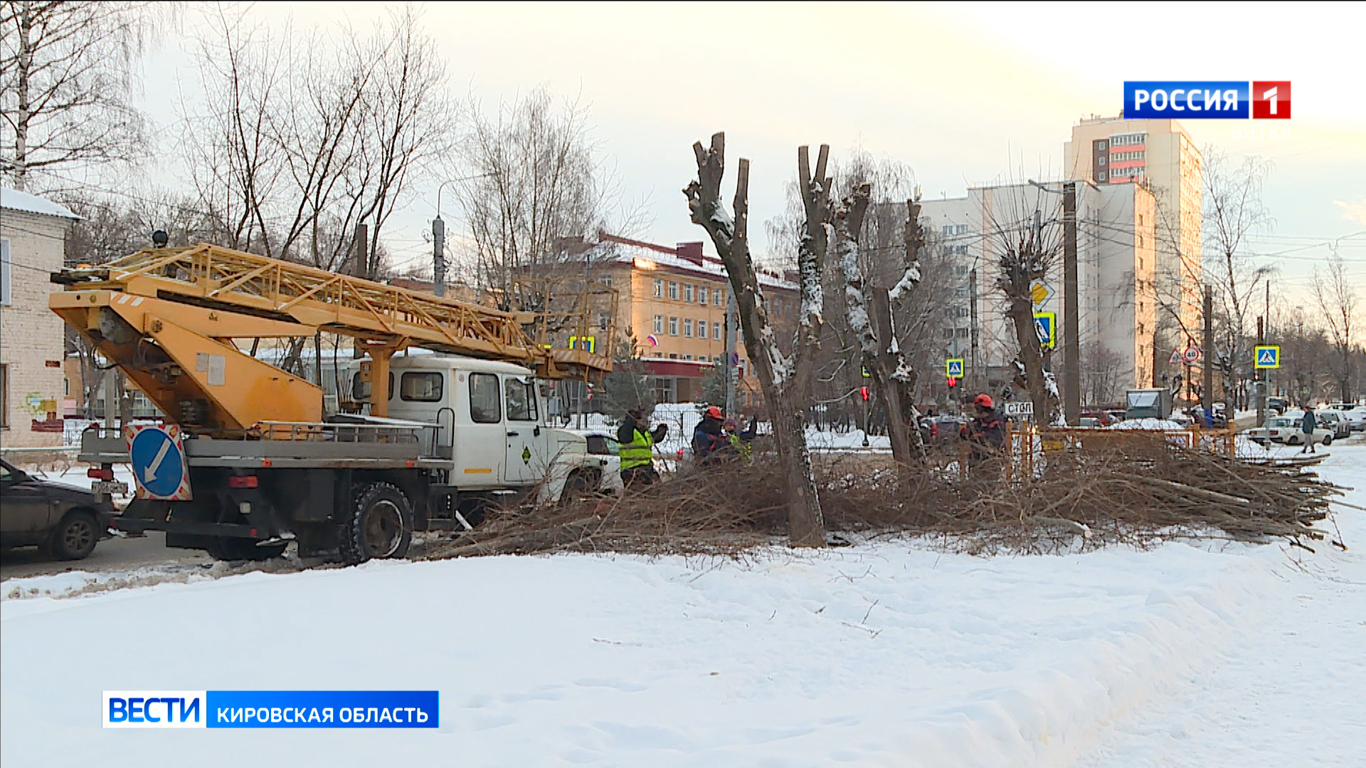 В Кирове проходят работы по омолаживанию деревьев и озеленению территории