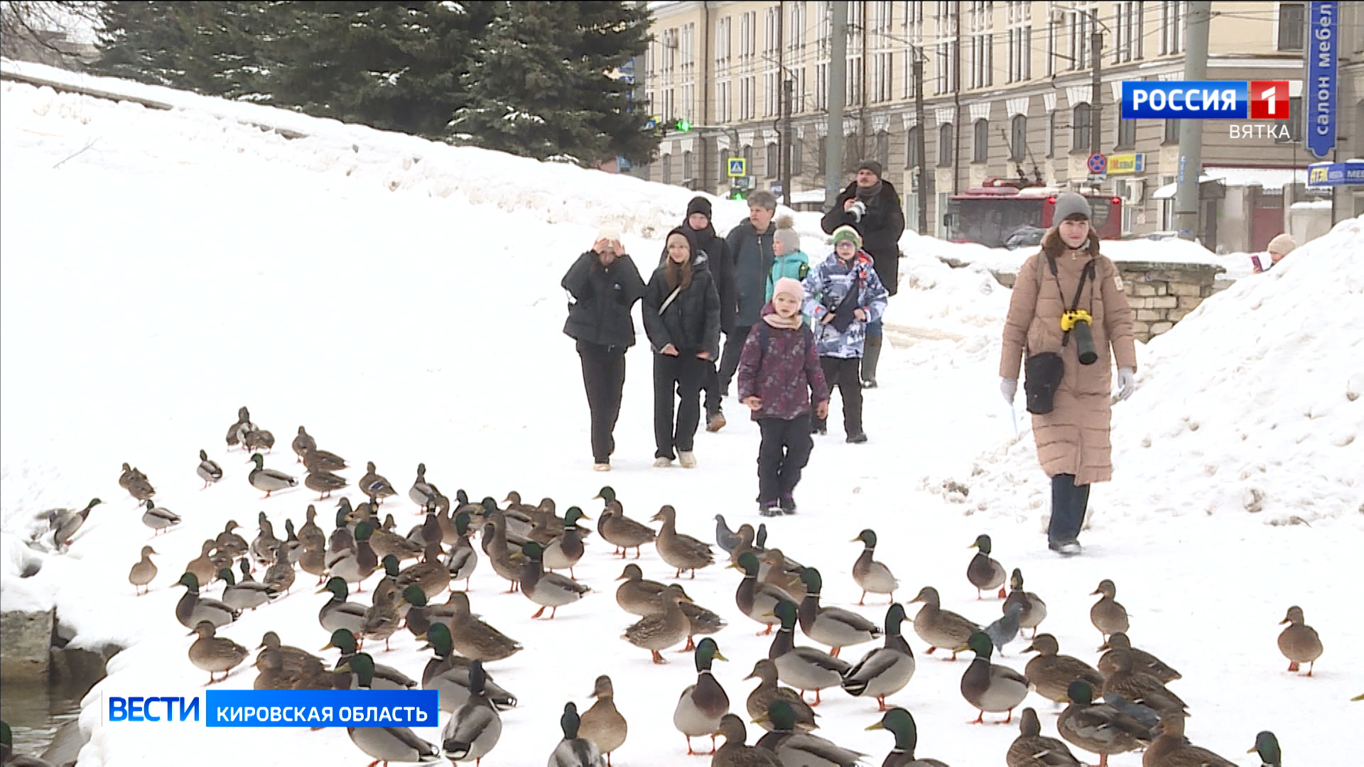 В Кирове прошла акция «Серая шейка»