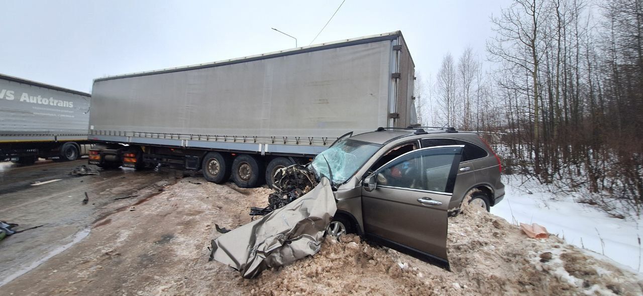 В Кировской области произошло ДТП с участием лося