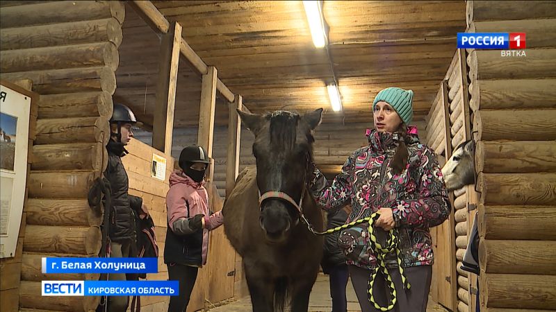 В спортшколе в Белой Холунице появились молодые лошадки вятской породы